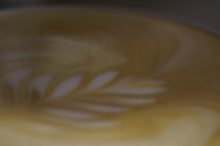 Decorado del café cappuccino